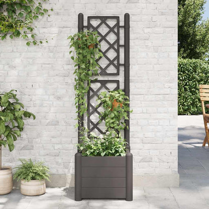 Garden Planter Anthracite, Decorative Polypropylene Pot with Trellis, Indoor Outdoor Use for Climbing Plants
