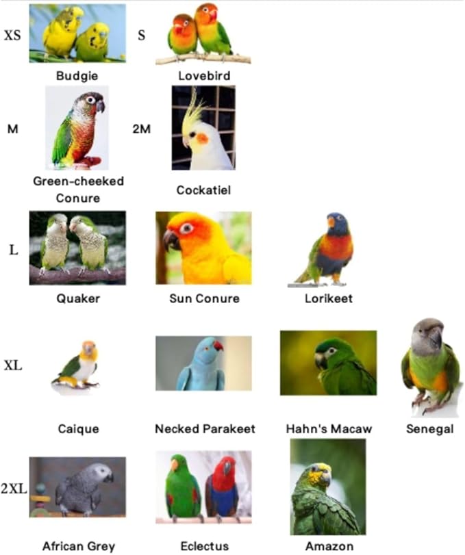 Bird Diaper Parrot Washable Diapers, Parrot Flight Suit, Reusable Nappies for Parakeet Cockatiel Mini Macaw Budgie Conure Lovebird (Red,2XL)