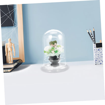 IWOWHERO Micro Landscape Vase Flower Vase Small Glass Terrarium Desktop Glass Terrarium Tabletop Aquarium Tank Micro Landscape Bottle Plant Holder High Borosilicate Glass Transparent