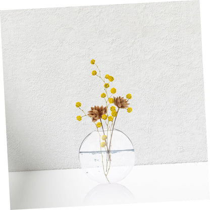 SOLUSTRE 2Pcs Clear Wall Vase Transparent Glass for Indoor Plants Space Saving Wall Decor for Home Office Easy Maintenance Terrarium