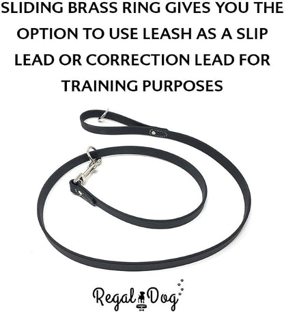 Regal Dog Products Small Black Waterproof Dog Collar and Leash Set | Heavy Duty Double Buckle & D Ring - 5'ft Leash | Adjustable Biothane Dog Collar | Chew Resistant Waterproof Collar for Dogs
