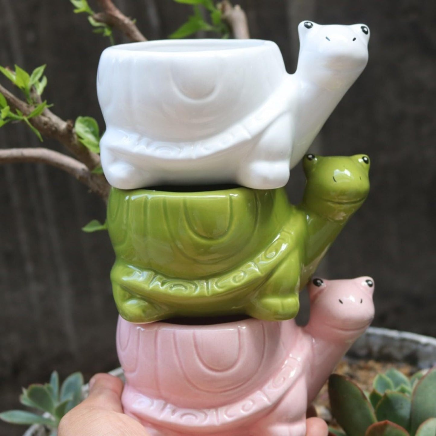 yeyo Elegant Creative Little Turtle Succulent Flower Pot Kindergarten Cute Animal Potted Plant for Balcony(Green)