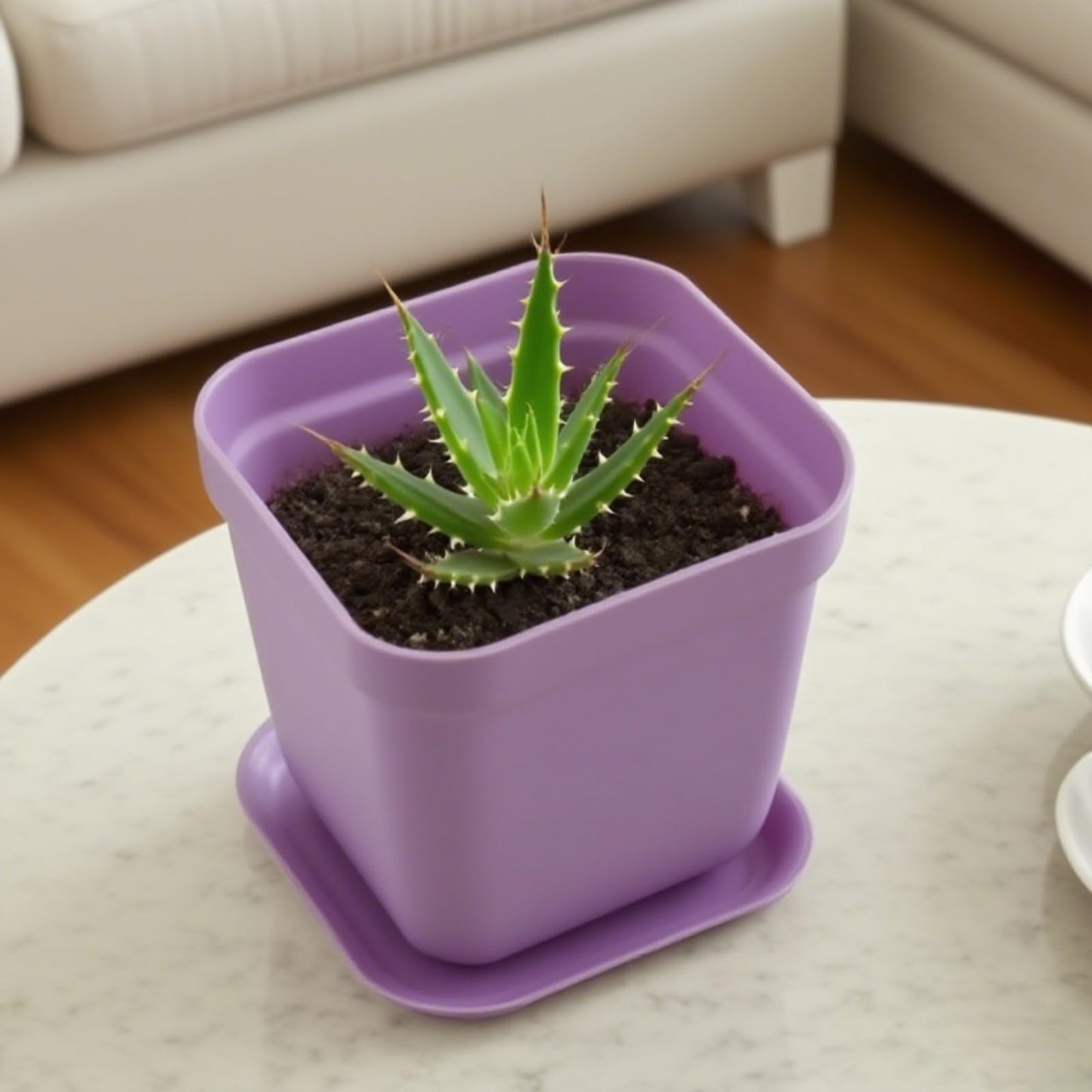 HOIGON 100 Pack 3 Inch Purple Square Nursery Pot, Durable Thickened Plastic Nursery Pots with Drain Holes, Small Square Planting Containers for Flower Tomatoes Basil