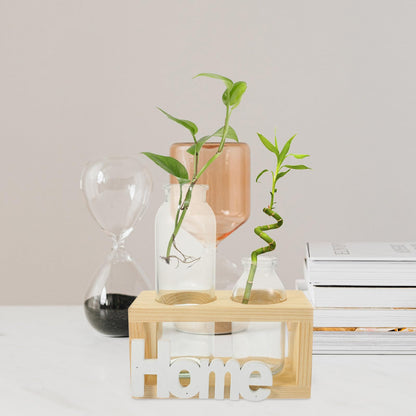 MAGICLULU Glass Vase for Indoor Plants and Hydroponic Garden, Nordic Style Bulb Planter with Natural Wood Frame, Desktop Terrarium Container Set of 2 for Home Décor and Plant Propagation