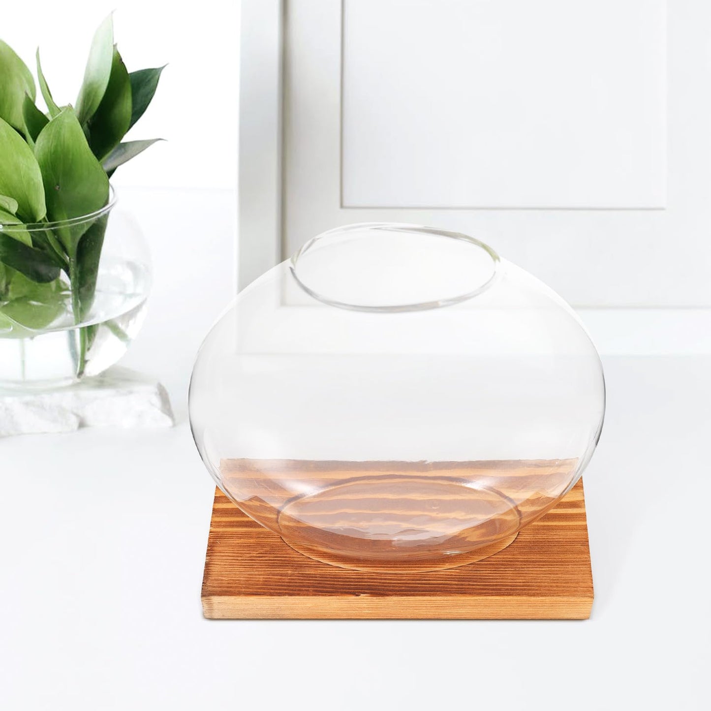 DOITOOL Wood Base Glass Hydroponic Vase for Plant Propagation, Desktop Planter Bottle with Retro-Style Base, Home and Office Flower Terrarium Decoration