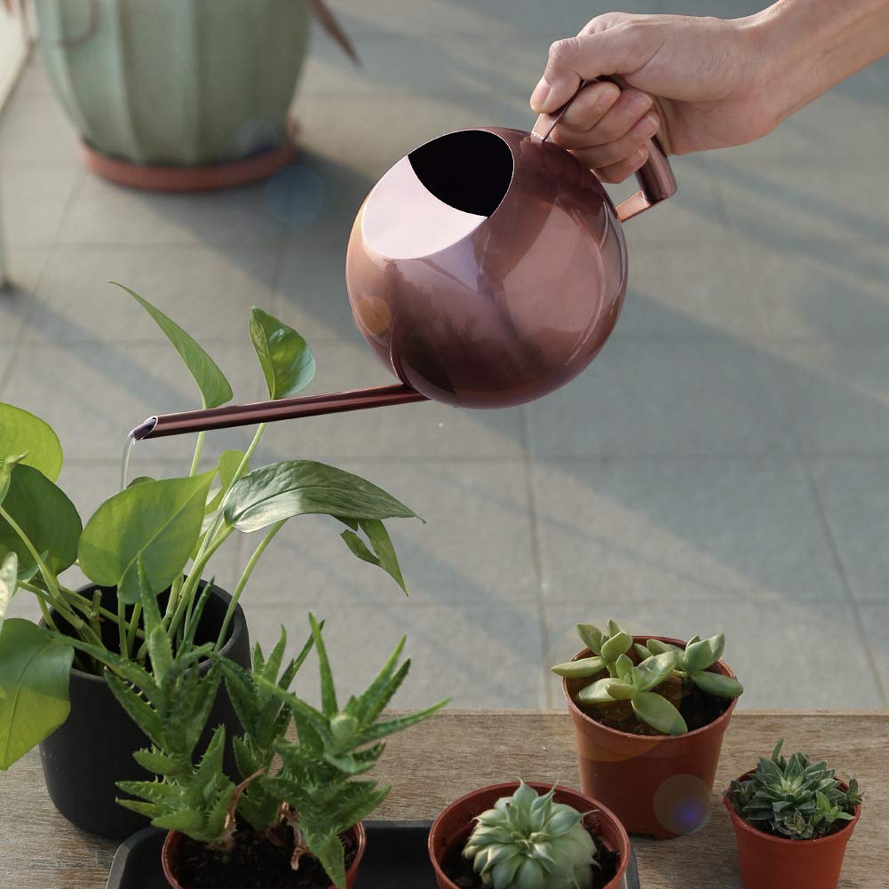 Chemlliy Watering Can with Long Spout and Comfortable Handle, 35 oz/1000ml Small Watering Can for Indoor Plants, Stainless Steel Garden Watering Pot for Indoor House Plants Bonsai Flower Decorative
