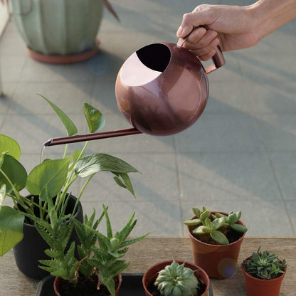 Chemlliy Watering Can with Long Spout and Comfortable Handle, 35 oz/1000ml Small Watering Can for Indoor Plants, Stainless Steel Garden Watering Pot for Indoor House Plants Bonsai Flower Decorative