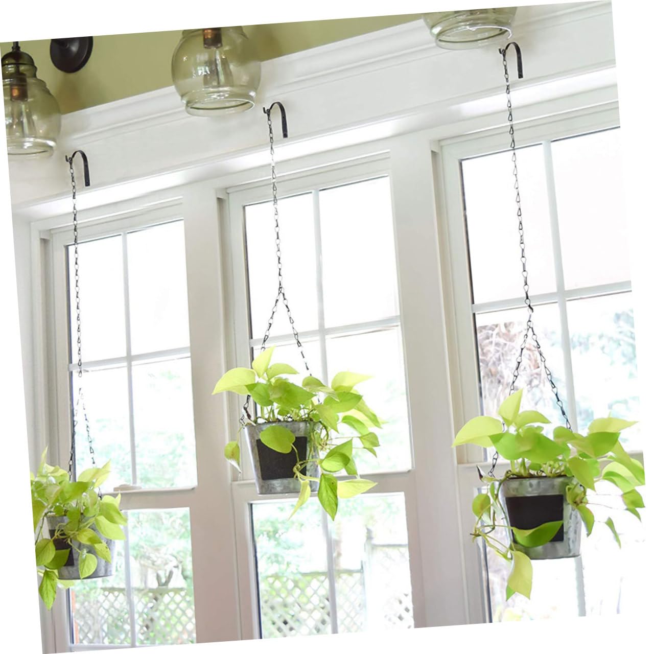 PHENOFICE 6pcs Wall-Mounted Wrought Iron Flower Basket Hooks for Outdoor Plant Hanging Heavy Duty Bracket Holders for Bird Feeders and Flower Pots
