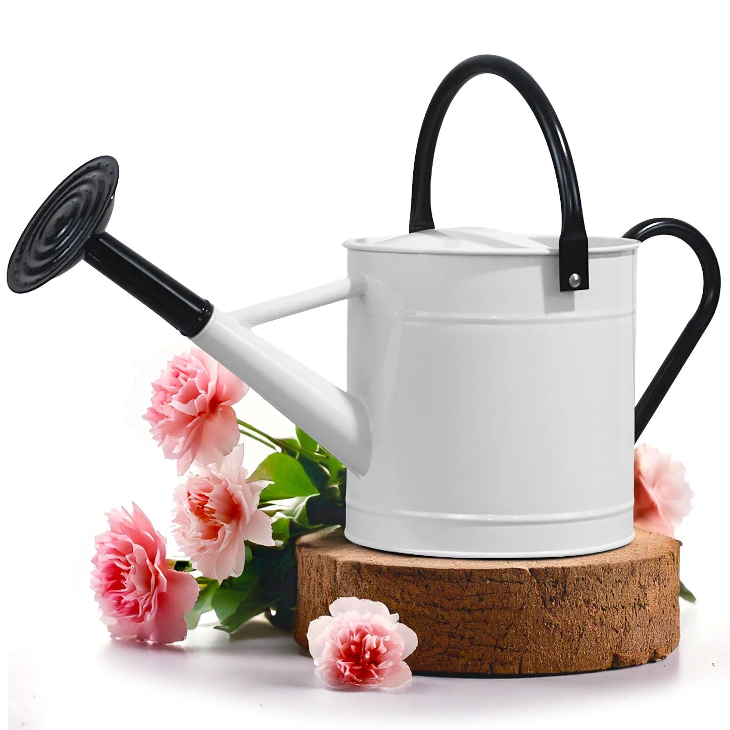 Plexon Metal Watering Can Outdoor 1 Gallon, Flower Plant Gardening Garden Large Watering Can Pot, Black Galvanized Steel Handles and Removable Spray Spout, White