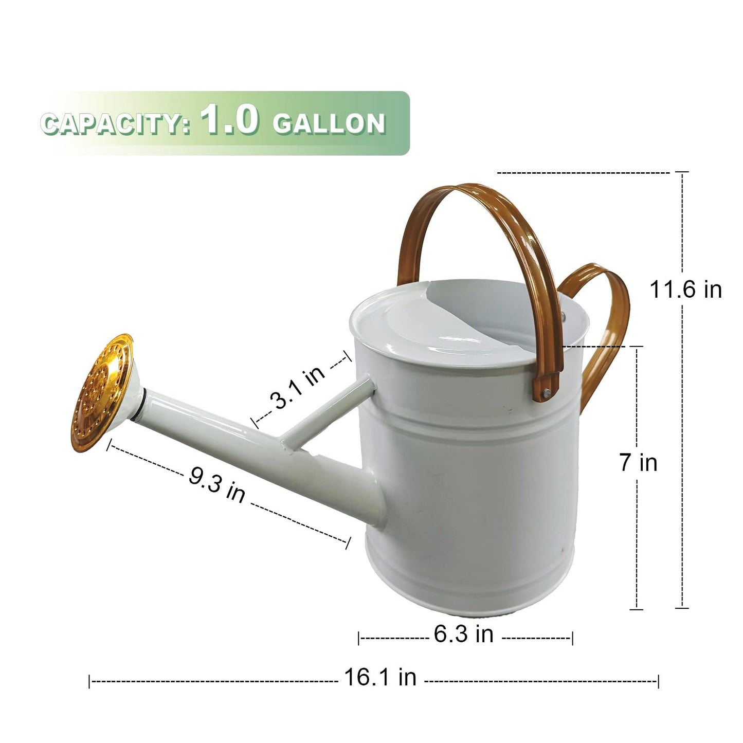 Watering Can for Outdoor&Indoor Plants，1 Gallon Metal Watering Can with with Removable Spout，Galvanized Steel Garden Flower Water Can Plant Watering Pot with 2 Handles，White