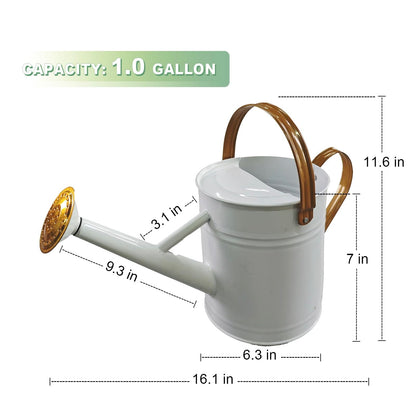 Watering Can for Outdoor&Indoor Plants，1 Gallon Metal Watering Can with with Removable Spout，Galvanized Steel Garden Flower Water Can Plant Watering Pot with 2 Handles，White