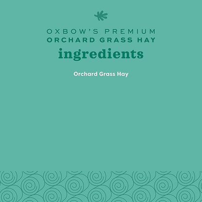 Oxbow Animal Health Orchard Grass, Guinea Pig Hay, Rabbit Hay, Small Pet Bunny Supplies, All Natural Grass for Guinea Pig, Bunny, Chinchilla & Hamster, Oxbow Rabbit Supplies for Bunnies, 9 lb. box