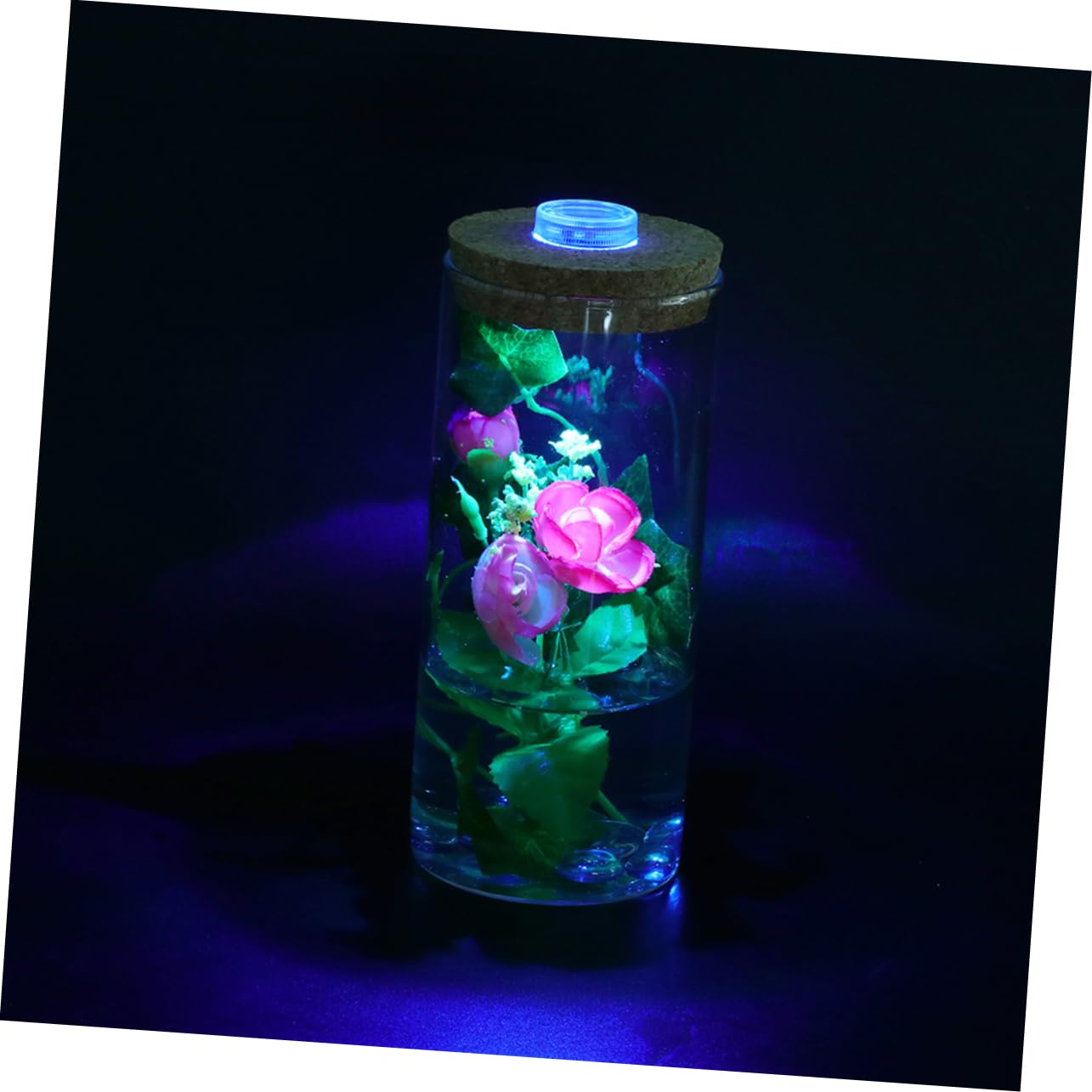 SUPVOX Modern Led Lighted Eco-Bottle Glass Terrarium Bottle Cork Cap Terrarium Decor for Home Office Aquarium Background Plant
