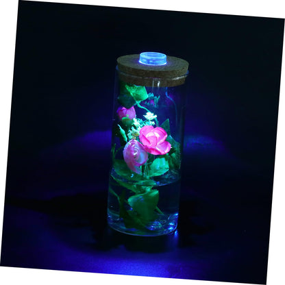 SUPVOX Modern Led Lighted Eco-Bottle Glass Terrarium Bottle Cork Cap Terrarium Decor for Home Office Aquarium Background Plant