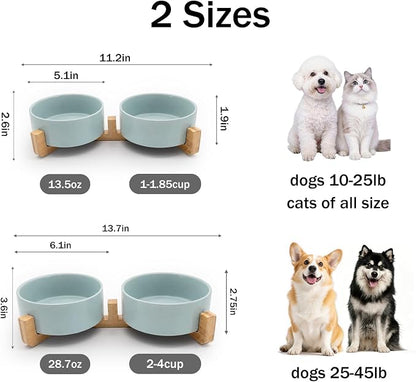 MateeyLife Ceramic Dog and Cat Bowls with Stand, 2-Pack Food and Water Bowl Set - Non-Slip Pet Bowls for Cats,Puppies and Small Dogs, 13.5OZ（Green）