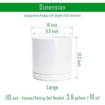 D'vine Dev 10 Inch Ceramic Planter Pot with Drainage Hole and Saucer, Indoor Cylinder Round Planter Pot, White, 94-O-E-1