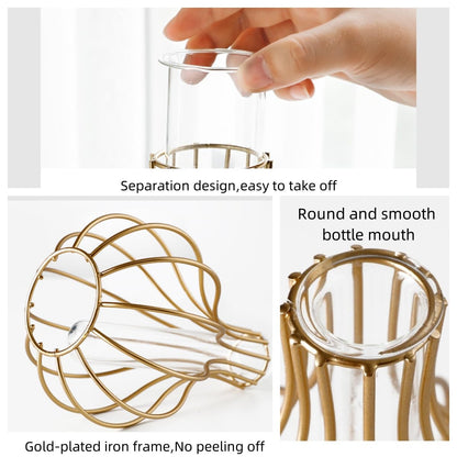 Table Flower Vases,Gold Geometric Metal Frame Clear Glass Tube Bud Vase Hydroponic Plants,Bulb-Shaped Design,Gold Vase Decorative for Fridge,Window,Home,Party(gold 10)