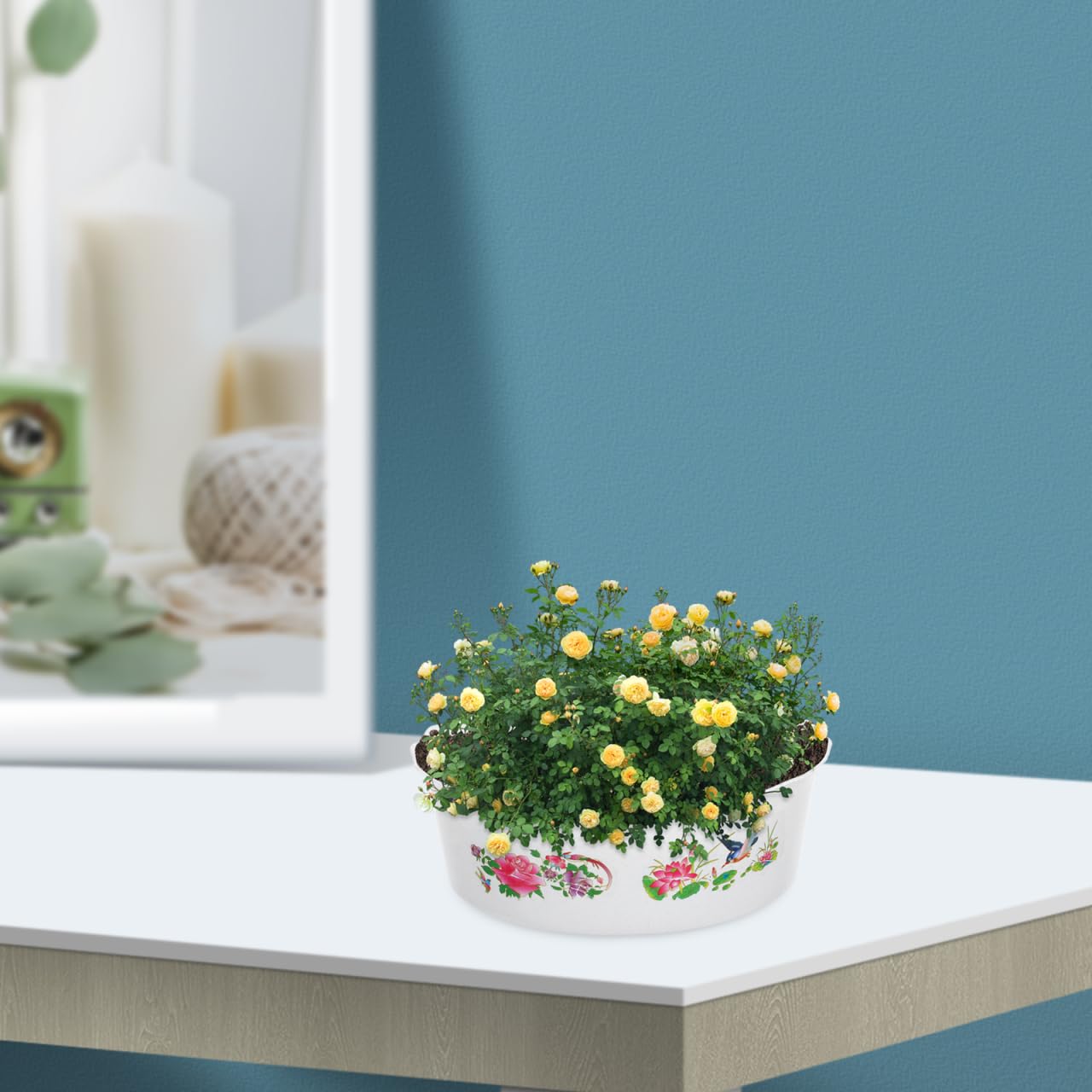HANABASS 3 Pcs Hydroponic Lotus Water Lily Planter Planting Bowl Round Shallow Flowerpot Container Fish Bowl for Water Lily, Succulent, Aquatic Plant Garden Decoration