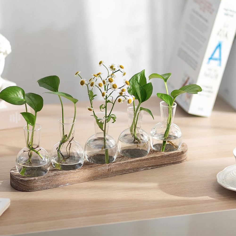 Beranosoer Propagation Station Glass Vases Decoration: 5 Plants Terrarium with White Washed Wooden Tray for Living Room