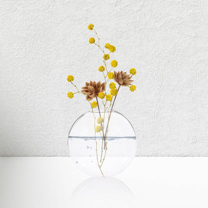 Angoily 4pcs Wall Hanging Hydroponic Plant Glass Vases Tall Glass Terrarium Containers for Indoor Home Décor and Office Wall Mounted Display