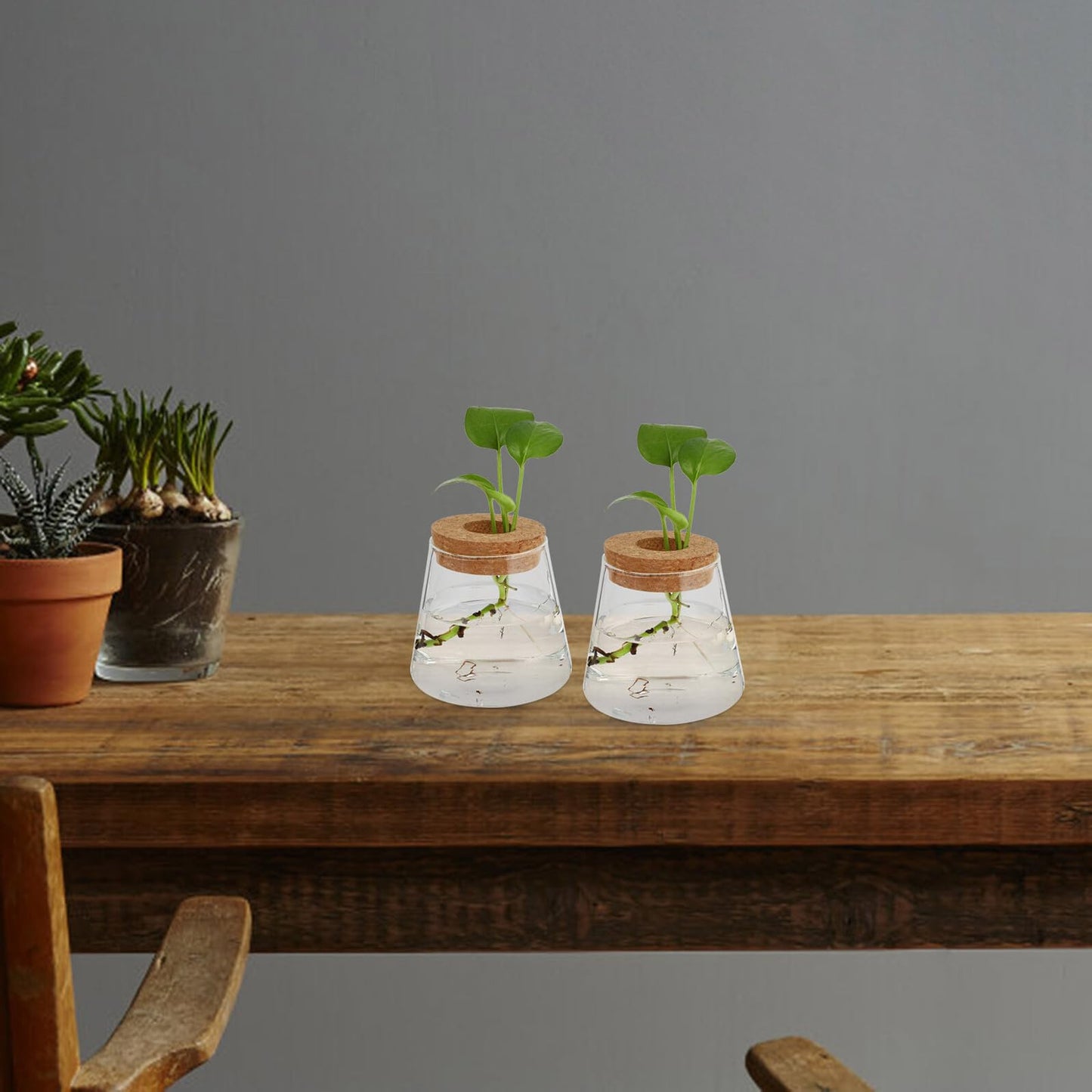 CONGARTENO 2pcs Glass Terrarium Vases for Hydroponics Plants, Small Glass Containers with 6.5cm Opening, Desktop Plant Holders for Office and Home Gardening
