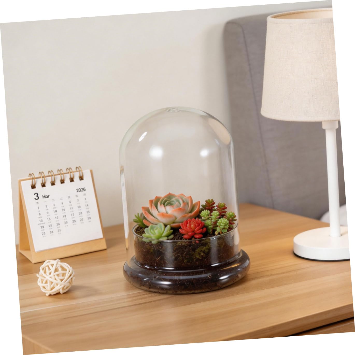 FONDOTIN Glass Terrarium Display Dome Moss Bottle for Plants Design with Opening for DIY Micro Landscapes and Home Decor