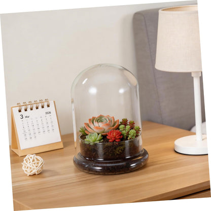 FONDOTIN Glass Terrarium Display Dome Moss Bottle for Plants Design with Opening for DIY Micro Landscapes and Home Decor