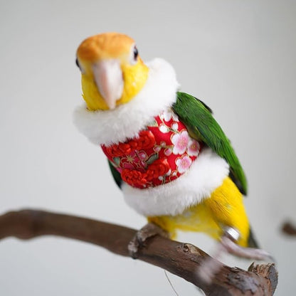 Bird Costume Bird Flight Suit Bird Clothes Cosplay Photo Prop for Parrots Parakeet Cockatiel Sun Conure, Bird Hoodie Small Animals Apparel (Red, Medium)