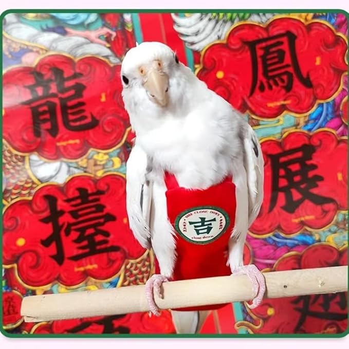 MANON ROSA Bird Diapers Leash Set Washable Reusable Handmade Flight Suit Waterproof Inner Layer - Protective Parrot Nappy Clothes Parakeets Macaws Budgies Canaries (Red7,Sun Conure)