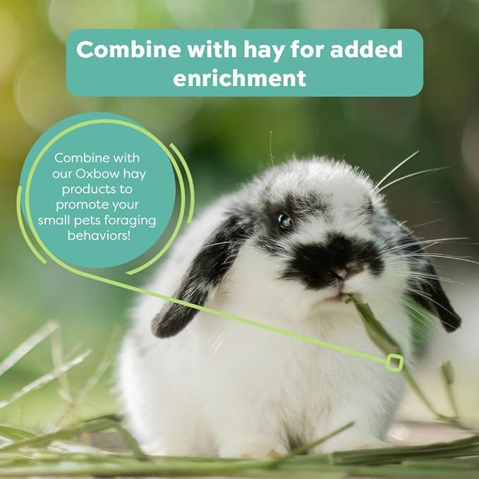 Oxbow Hay Toppers Garden Blend, Bunny Treats, Foraging Enrichment for Rabbits, Chinchillas, Guinea Pigs, and Other Small Herbivores, Timothy Hay Topper, Premium Rabbit Food Additive, 2oz