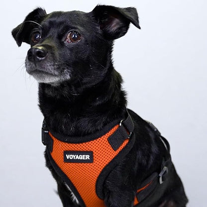 Voyager Step-in Pet Harness - All Weather Mesh, Adjustable Step in Harness for Cats and Dogs by Best Pet Supplies - Orange/Black Trim, XL