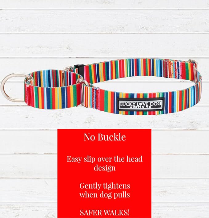 Lucky Love Dog Martingale Dog Collar & Leash - Adjustable, No-Slip, Durable, Comfortable, Soft Webbing, & Stylish Patterned Collar & Leash Set for Male and Female Dogs - Hippie Combo, Medium