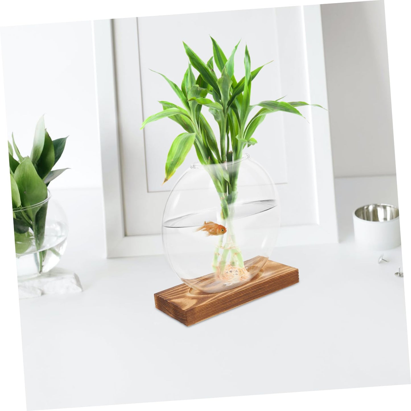 Levemolo Glass Terrarium Jar Plant Decorations Hydroponic Vase Wooden Base for Warming