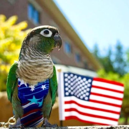 Avian Fashions FeatherWear FlightSuit Small(4) Bird Diaper in Fireworks