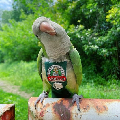 Bird Clothes Parrot diapers bird flight suits, reusable waterproof diapers pet bird supplies (2XL)