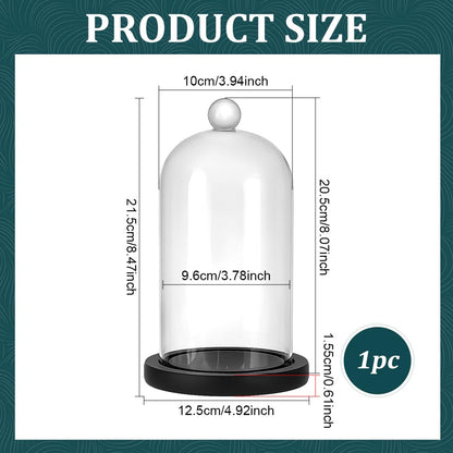 PH PandaHall Cloche Glass Dome Black Wooden Base Bell Jar Cloche Bottles Display Case Clear Glass Display Dome with Top Handle for Plants Flower Clay Succulents Antique Collectibles, 4.92x8.46inch