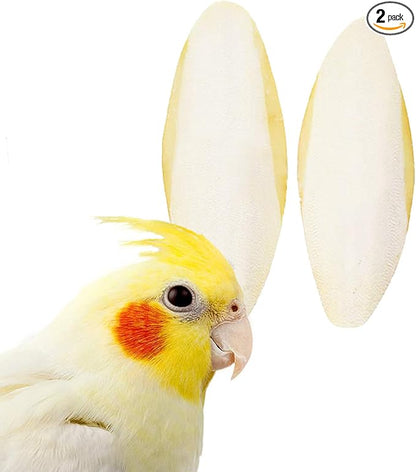 SunGrow Large Cuttlefish Bones for Cockatiels, Turtles, Shrimp, Dog Calcium Supplement, Cage Holder Included, 2 Pieces per Pack