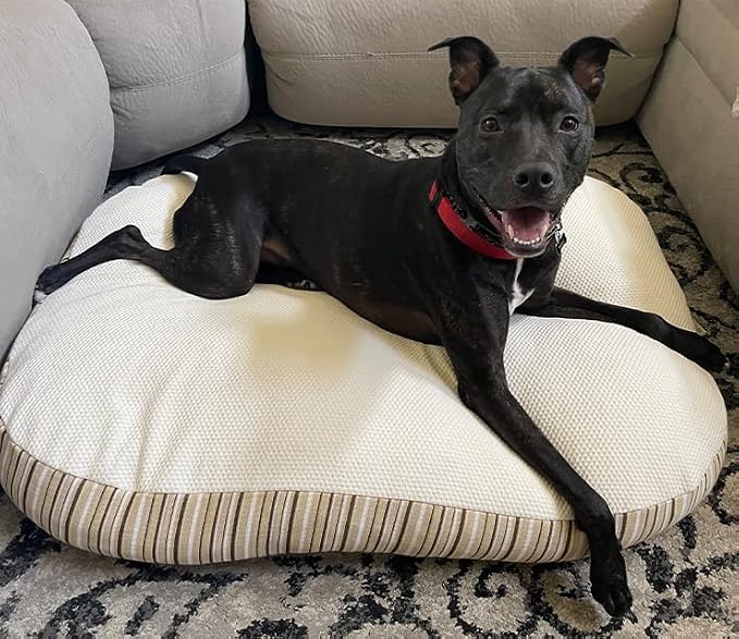Essentia Kingston Luxury Organic Pet Bed - Large Dog