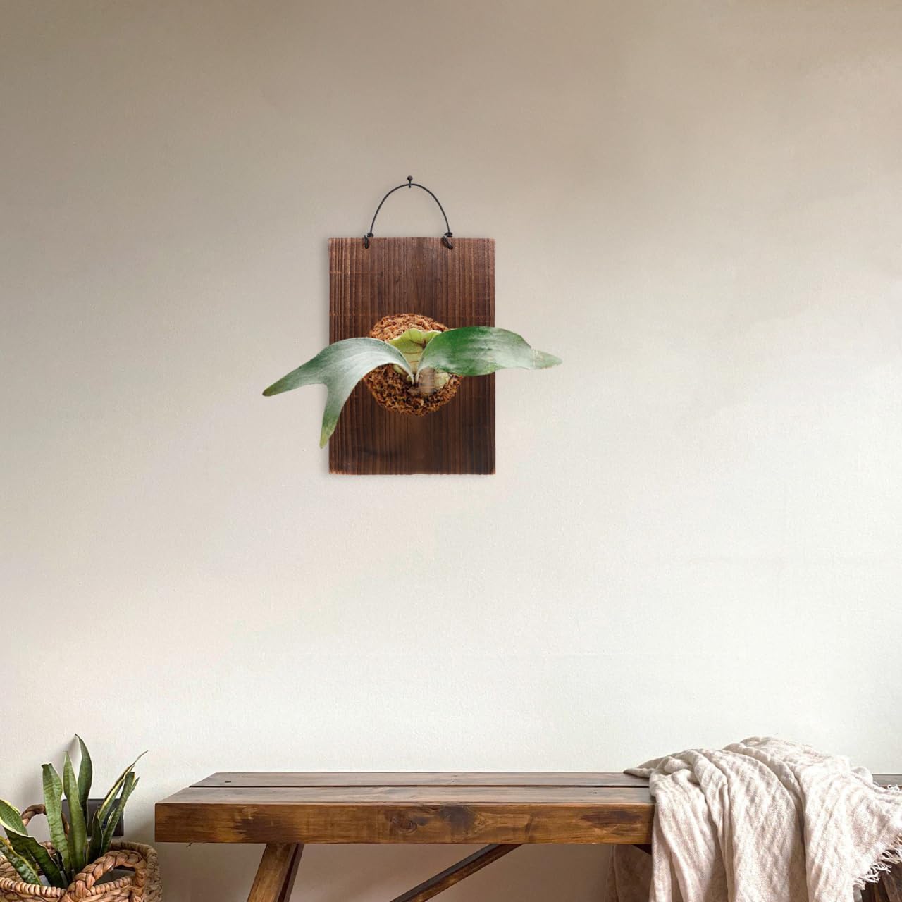 ORFOFE Fern Hanging Plaque 9.76X6.77X0.70In Solid Wood Rustic Sign Decor for Indoor Succulents Climbing Plants Vertical Plant Mounting Board