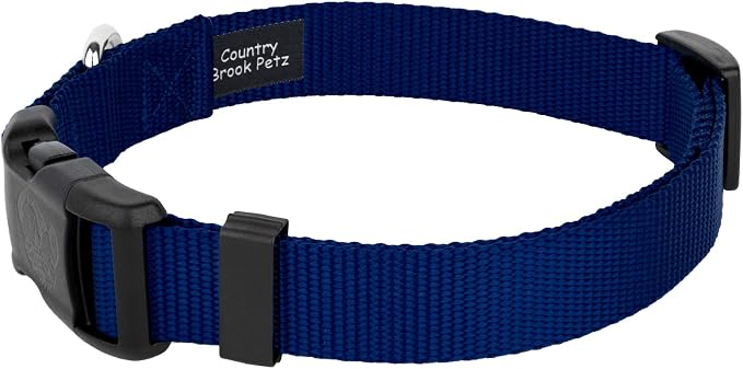Country Brook Petz - Everyday Nylon Dog Collar and Leash - 10+ Cool Colors (3/8 Inch, Extra Small, Royal Blue)