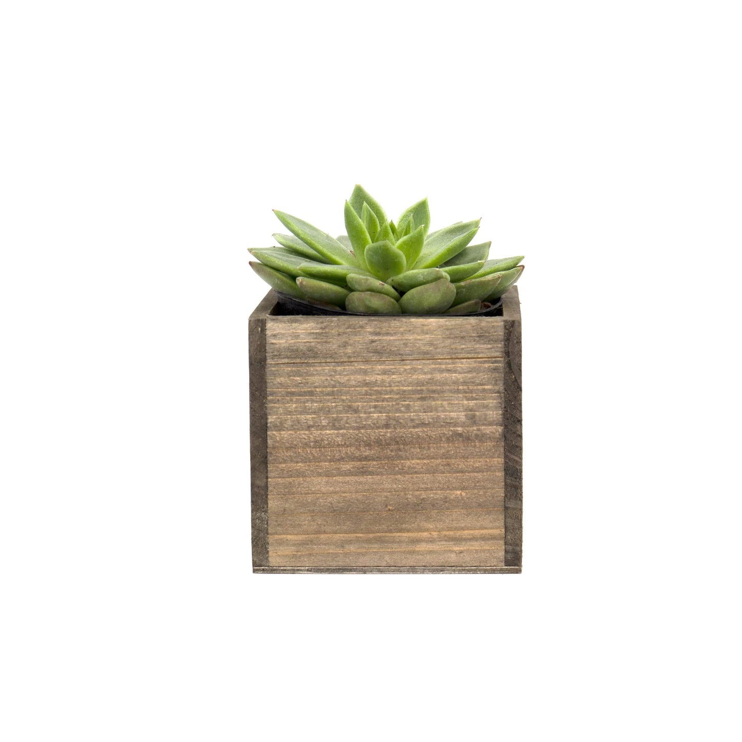 CYS EXCEL Cube Planter Box with Removable Plastic Liner (4"x4"x4")(4 PCS) | Multiple Size Choices Wood Square Planter | Indoor Decorative Window Box