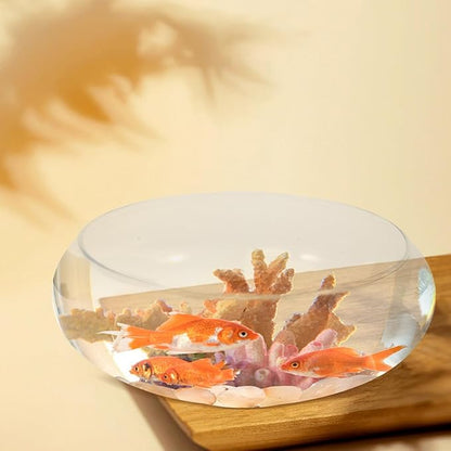 UPKOCH Large Clear Glass Fish Bowl Wide Mouth Round Planter Shallow Terrarium Vase for Centerpieces Aquatic Plant Goldfish Desktop Aquarium