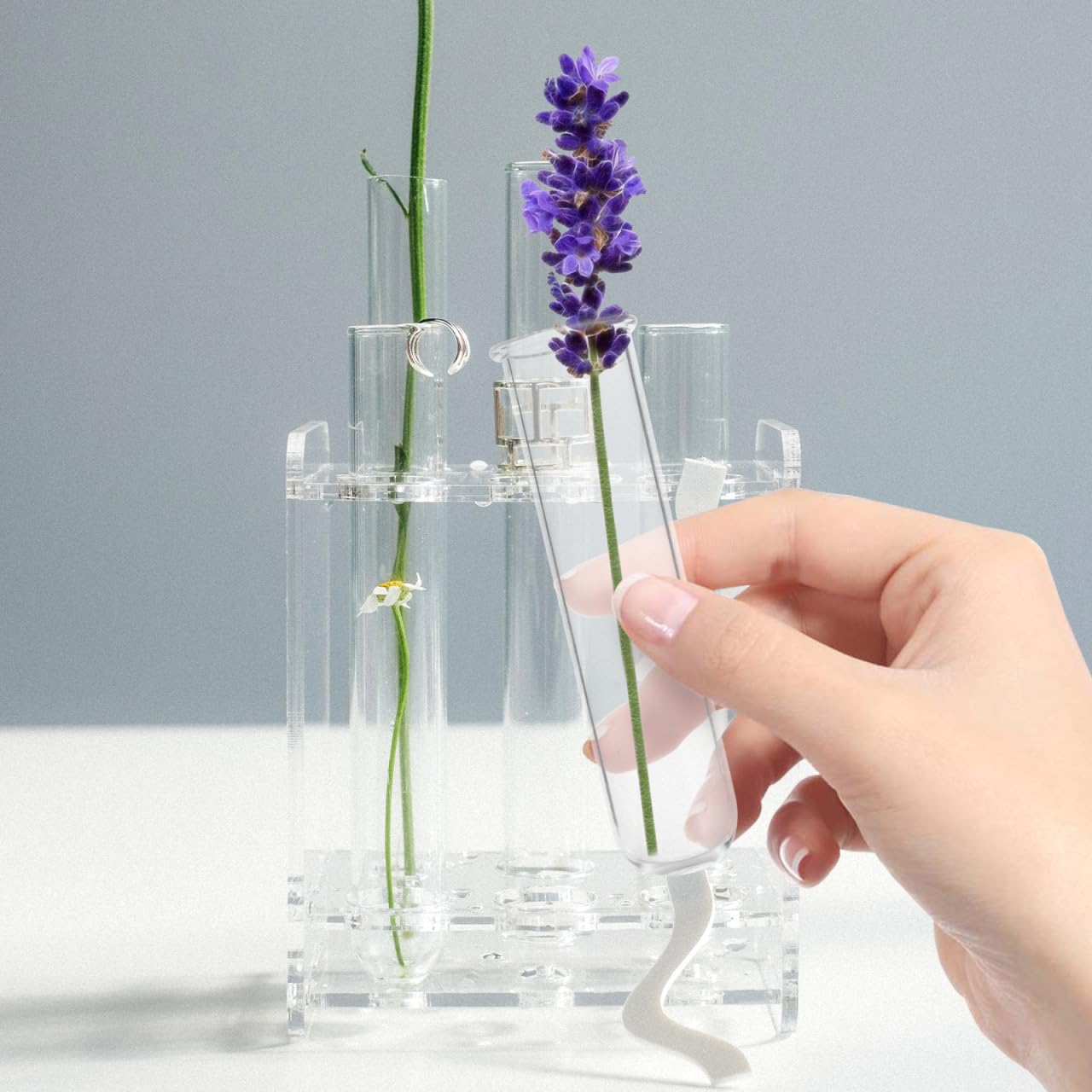 IWOWHERO 5Pcs Plant Propagation Station Glass Plant Test Tube Planter Pot Holder for Hydroponics for Home Office Planter Hanger Flower Vase Wall Decor Hydroponic Cuttings Clear