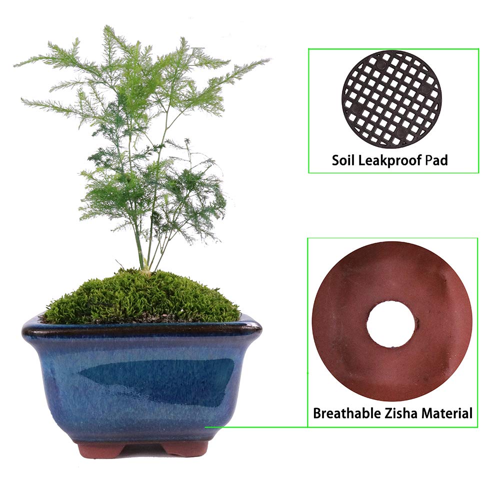 MUZHI 6PACK Glazed Bonsai Pot Planter 3" 4” Small Succulent Pots, Yixing Zisha Decorative Mame Bonsai Training Pot or Small Flower Cactus Starter Growing Planters Containers Blue
