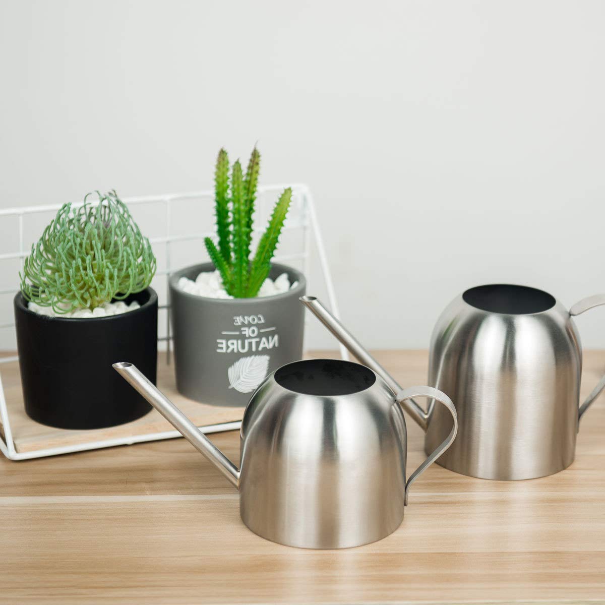Fasmov Stainless Steel Watering Can, Small Modern Style Watering Pot, 15oz/450ml Watering Can with Long Spout to Prevent Spillage, Perfect Plant Watering Can for Outdoor and Indoor Plants (Silver)