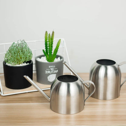 Fasmov Stainless Steel Watering Can, Small Modern Style Watering Pot, 15oz/450ml Watering Can with Long Spout to Prevent Spillage, Perfect Plant Watering Can for Outdoor and Indoor Plants (Silver)