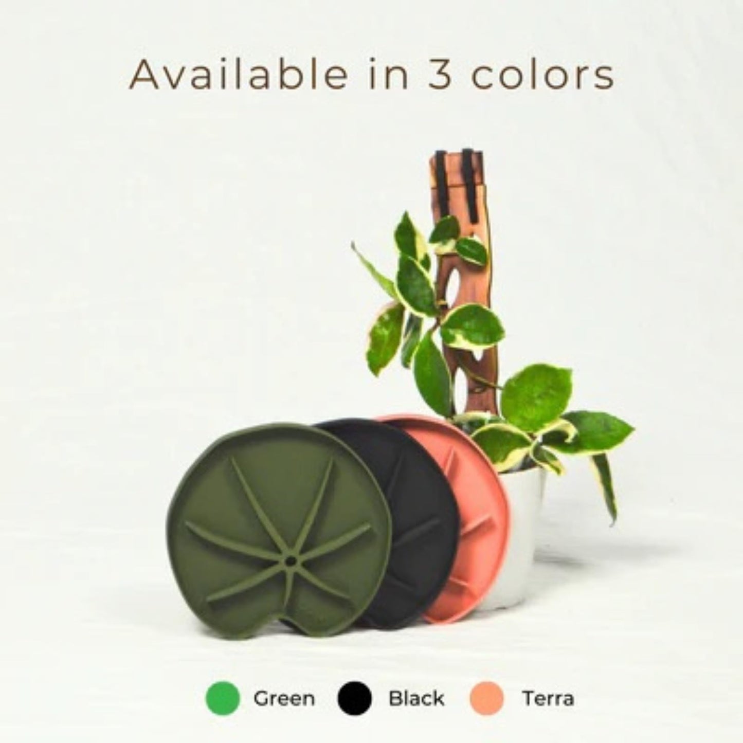 Treleaf Lili Sausr™ – 6" Lily Pad Shaped Plant Saucer & Drip Tray (Set of 2) – Decorative Humidity Tray & Spill Catcher for Indoor Houseplants – 3D Printed Eco-Friendly Design - Green