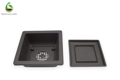 Bonsai Training Containers with Humidity Trays, 6.5 Inch Square Plastic Planter Pots for Garden, 3 Pack for Succulents, Small Flowers and Plants