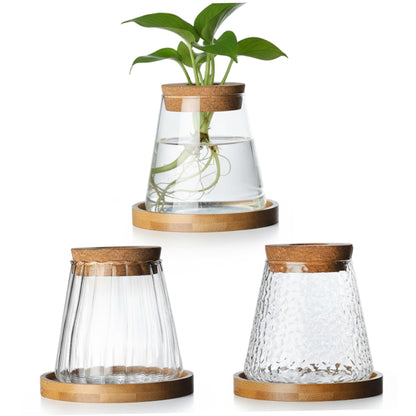 3pcs Propagation Station, Plant Propagation Vases with Cork Stoppers & Wooden Stands for Hydroponic Plants, Office Desk Decor, Terrarium Jar