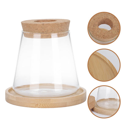 IMIKEYA Hydroponic Glass Flower Vase with Wooden Stopper and Tray, Ecological Plant Terrarium Bottle for Office Desktop Decoration and Indoor Gardening